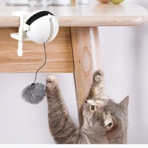 Interaktives Katzenspielzeug elektronisch „Catch-It“