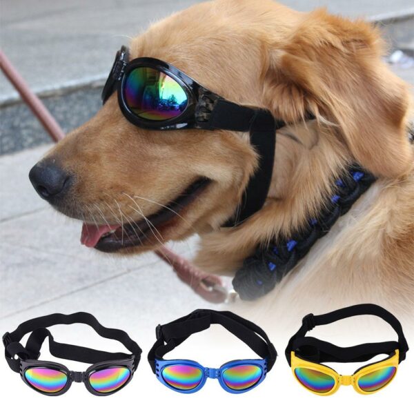 Sonnenbrille für Hunde