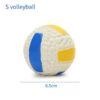 Volleyball Small