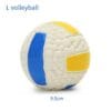 Volleyball Large