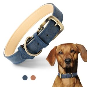Leder Halsband Hund / feinste Qualität / langlebig und robust