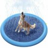 hund Ein verspielter Hund genießt einen Ausflug in das Hundeplanschbecken Outdoor, ein Hundepool mit Sprinkler, der herrliche Wasserspritzer nach oben erzeugt.