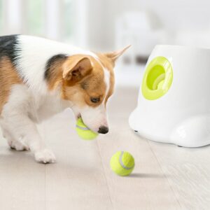 Ballwurfmaschine für Hunde – Spaß und Bewegung für Ihren Hund
