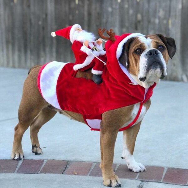 Hunde Weihnachtskostüm