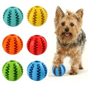 Hunde Zahnpflege Denta Fun Ballspielzeug aus Naturkautschuk