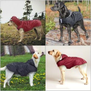 Hunde Regenmantel mit Reflektoren – Trocken und sicher durch den Regen
