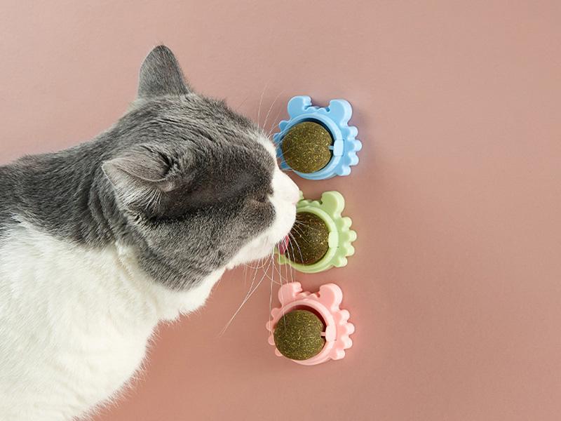 Katzenminze Kaufen - Spielzeug Ball mit Wirkung