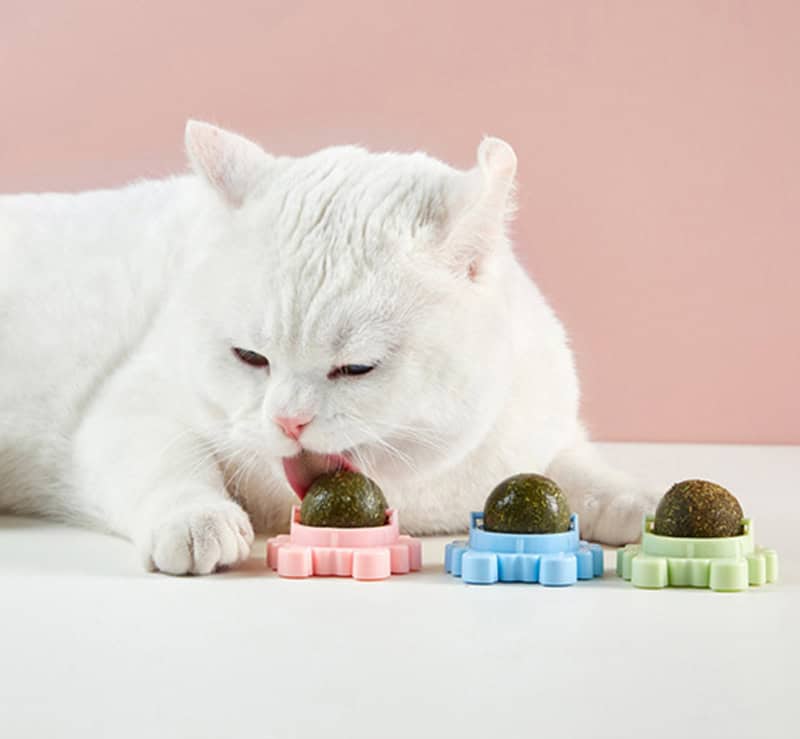 Katzenminze Kaufen - Spielzeug Ball mit Wirkung